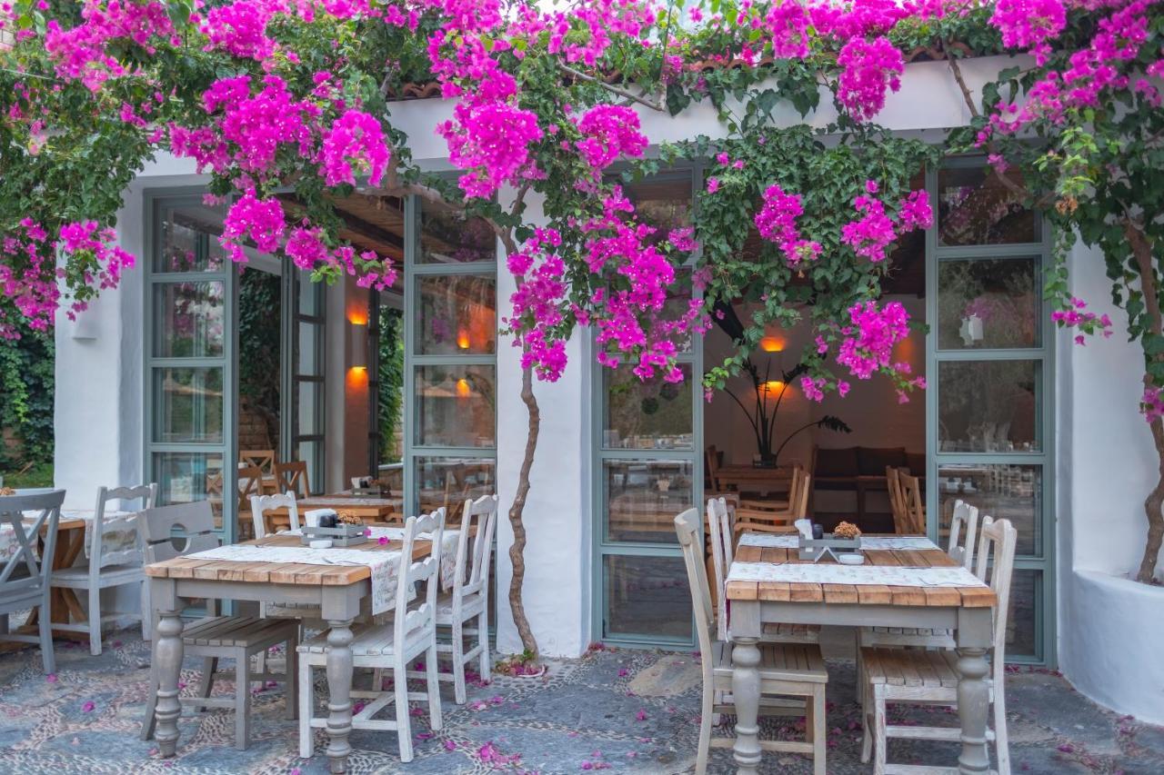 Flamingo Hotel & Spa - Pet Friendly Oludeniz Exterior photo